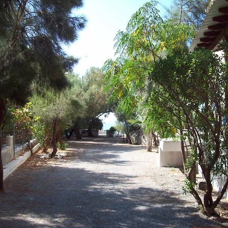 Oasis Studios Psili Ammos (Samos) Exterior photo