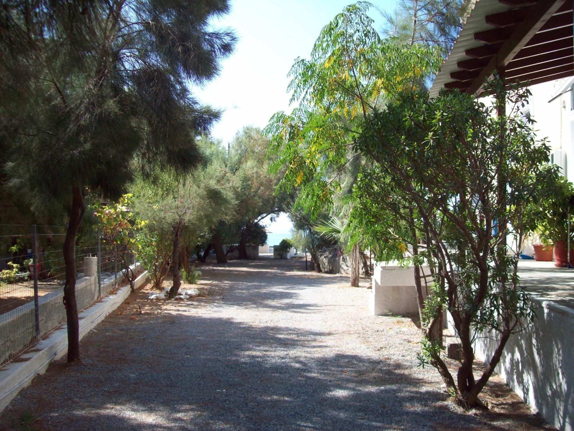 Oasis Studios Psili Ammos (Samos) Exterior photo