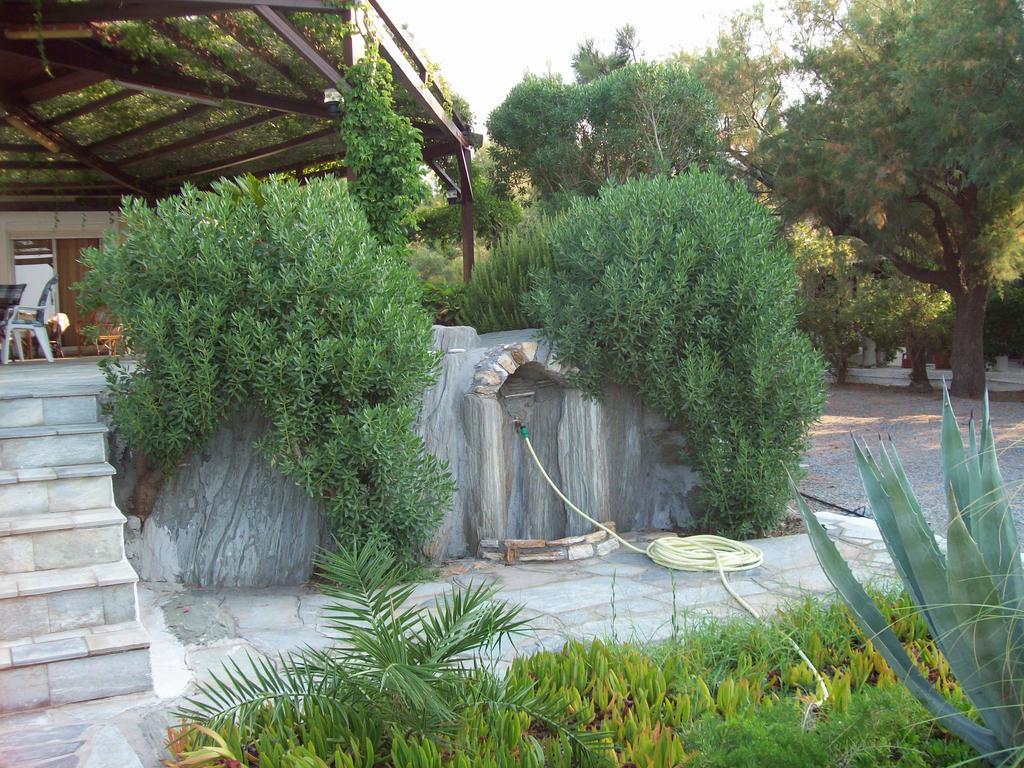 Oasis Studios Psili Ammos (Samos) Exterior photo