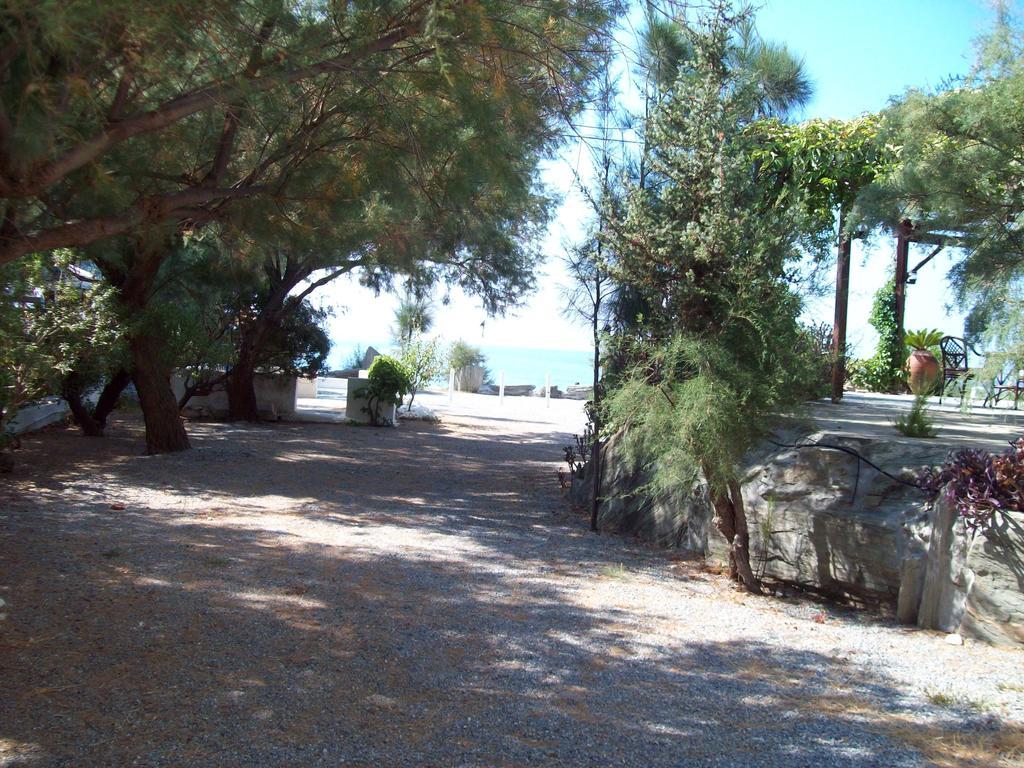 Oasis Studios Psili Ammos (Samos) Exterior photo