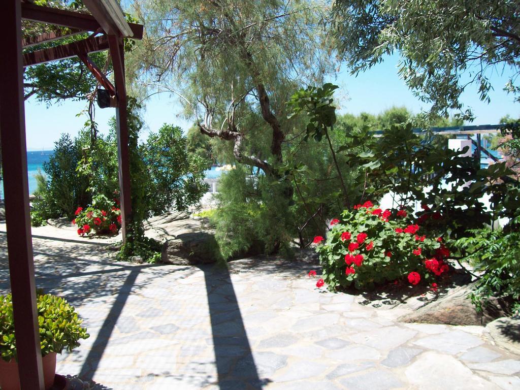 Oasis Studios Psili Ammos (Samos) Exterior photo