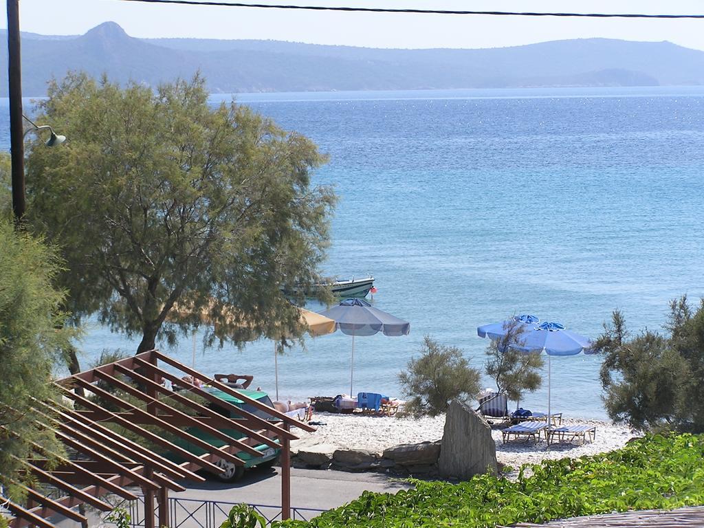 Oasis Studios Psili Ammos (Samos) Room photo